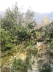 parete di terreno